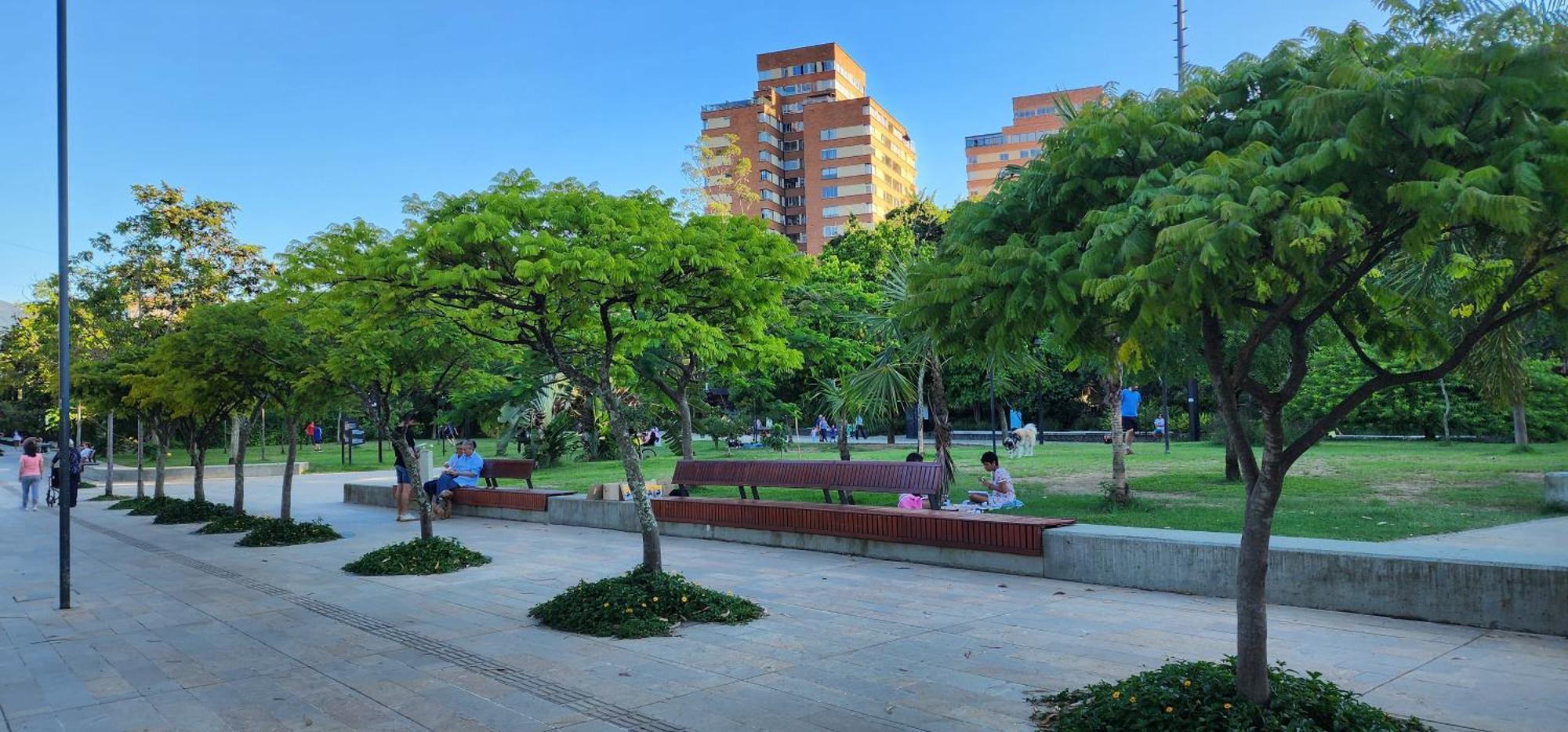 Casa De Palmas 1